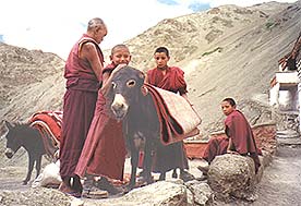 Zanskar: bouddhisme et culture tibtaine